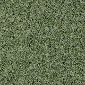 Preview: Vorwerk Luana Teppichboden grün – rechteckige Draufsicht